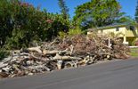 storm debris clean up