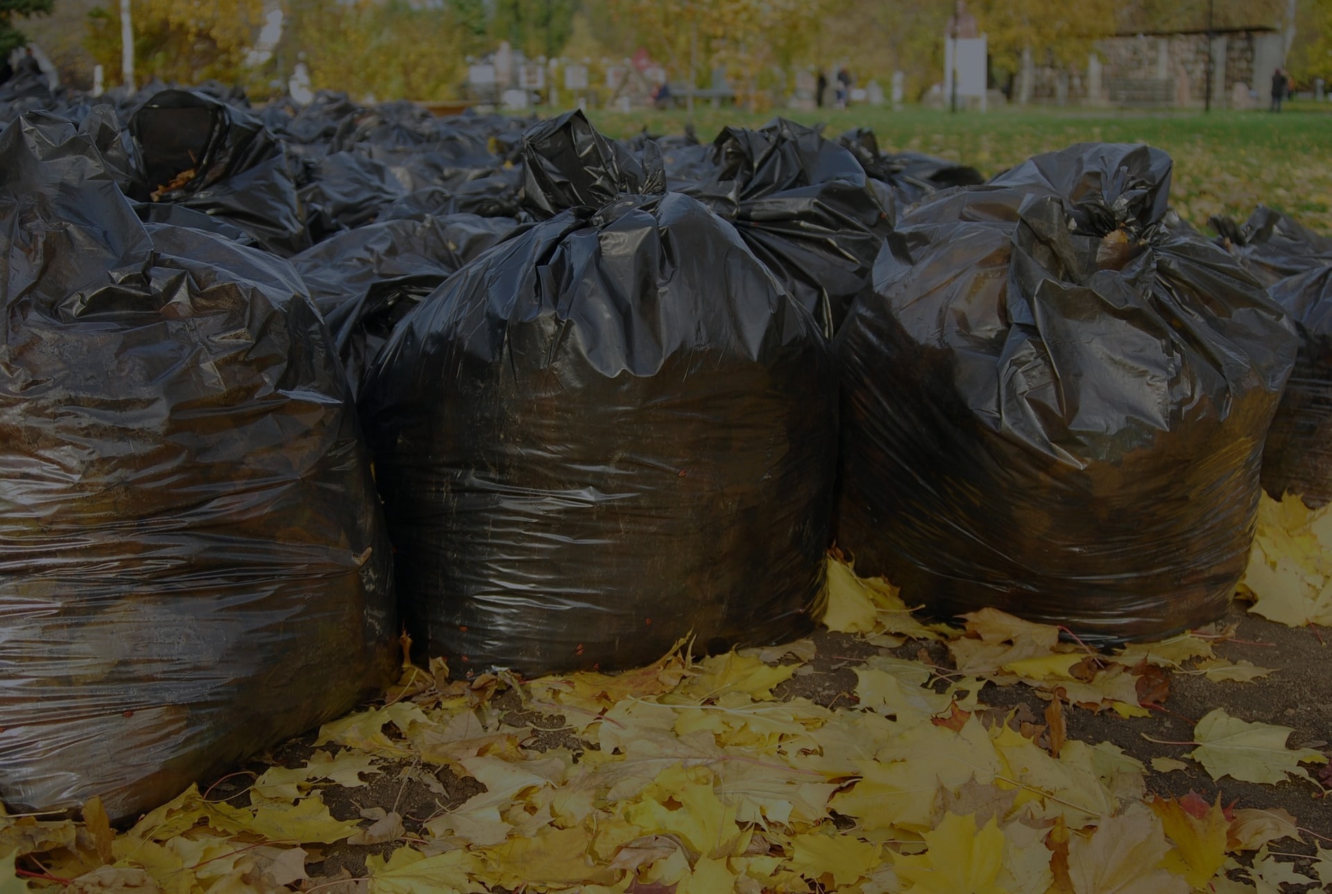 Yard Waste Removal