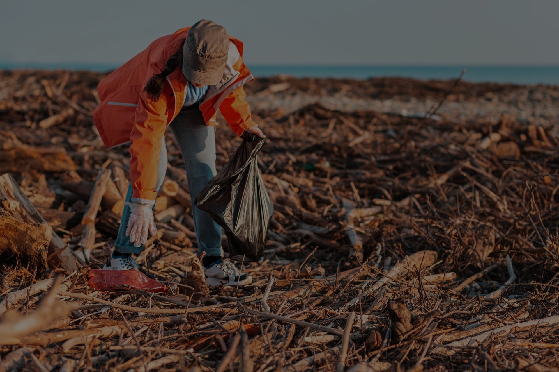 storm waste cleanup miami