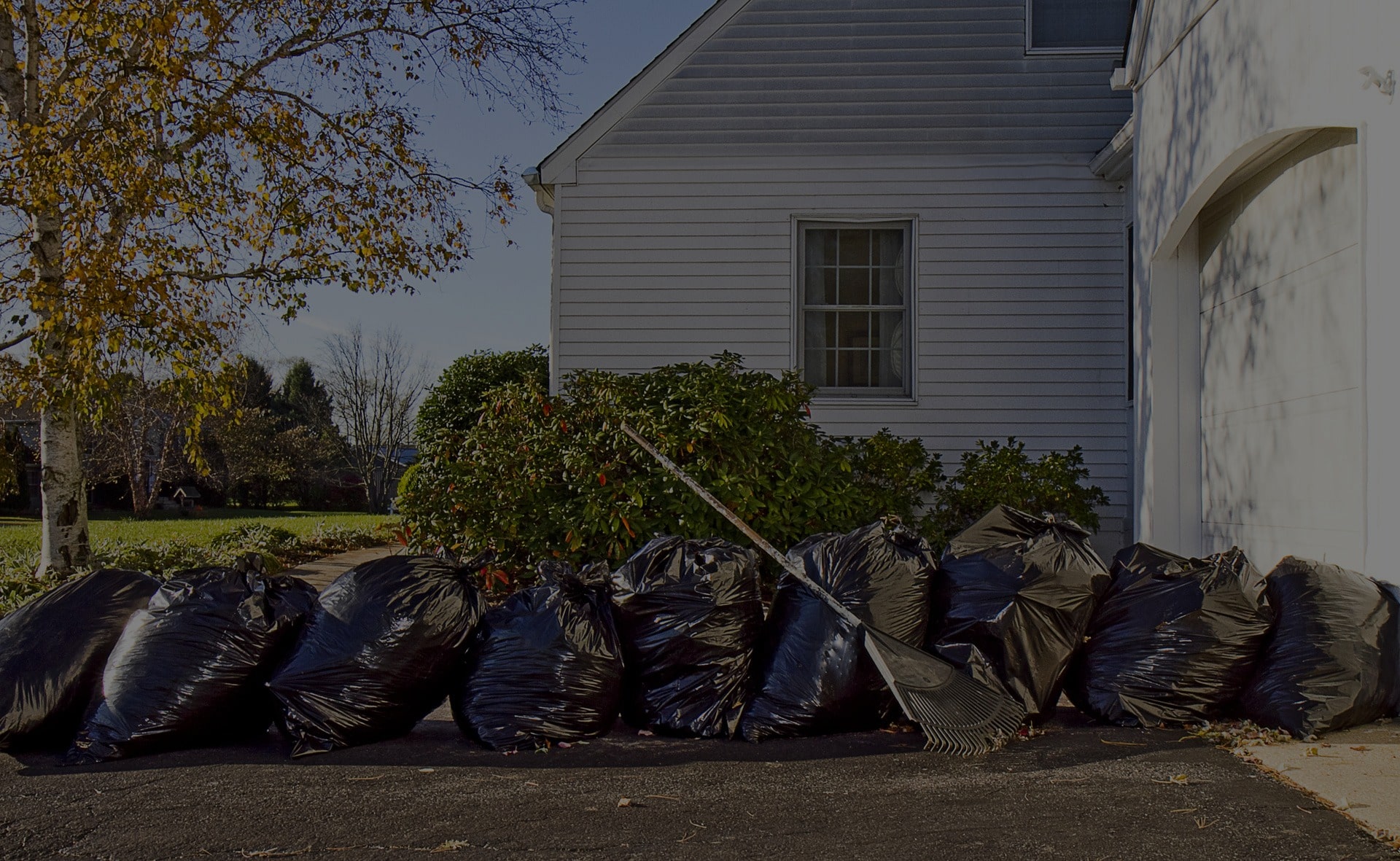 Junk Removal For Yard Debris-min