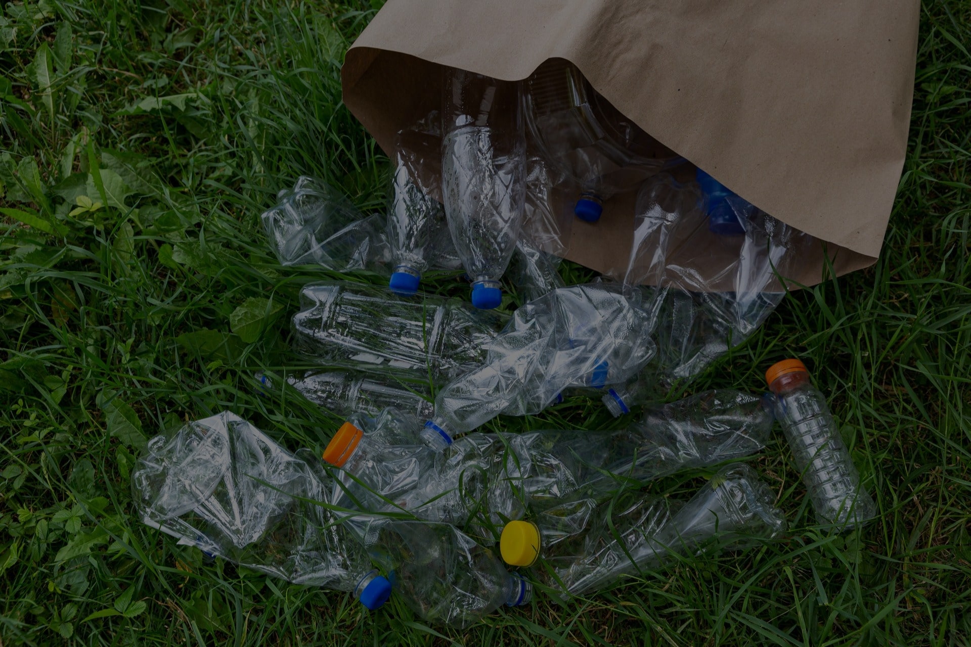 Reasons to Recycle Plastic
