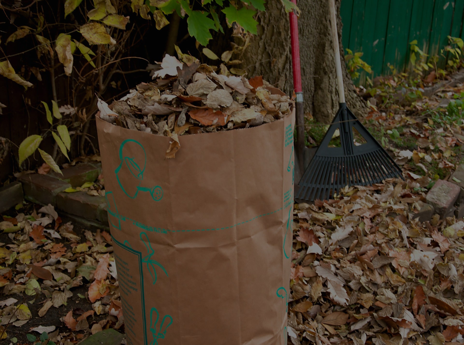 Yard Waste Dumpster Rentals in Miami