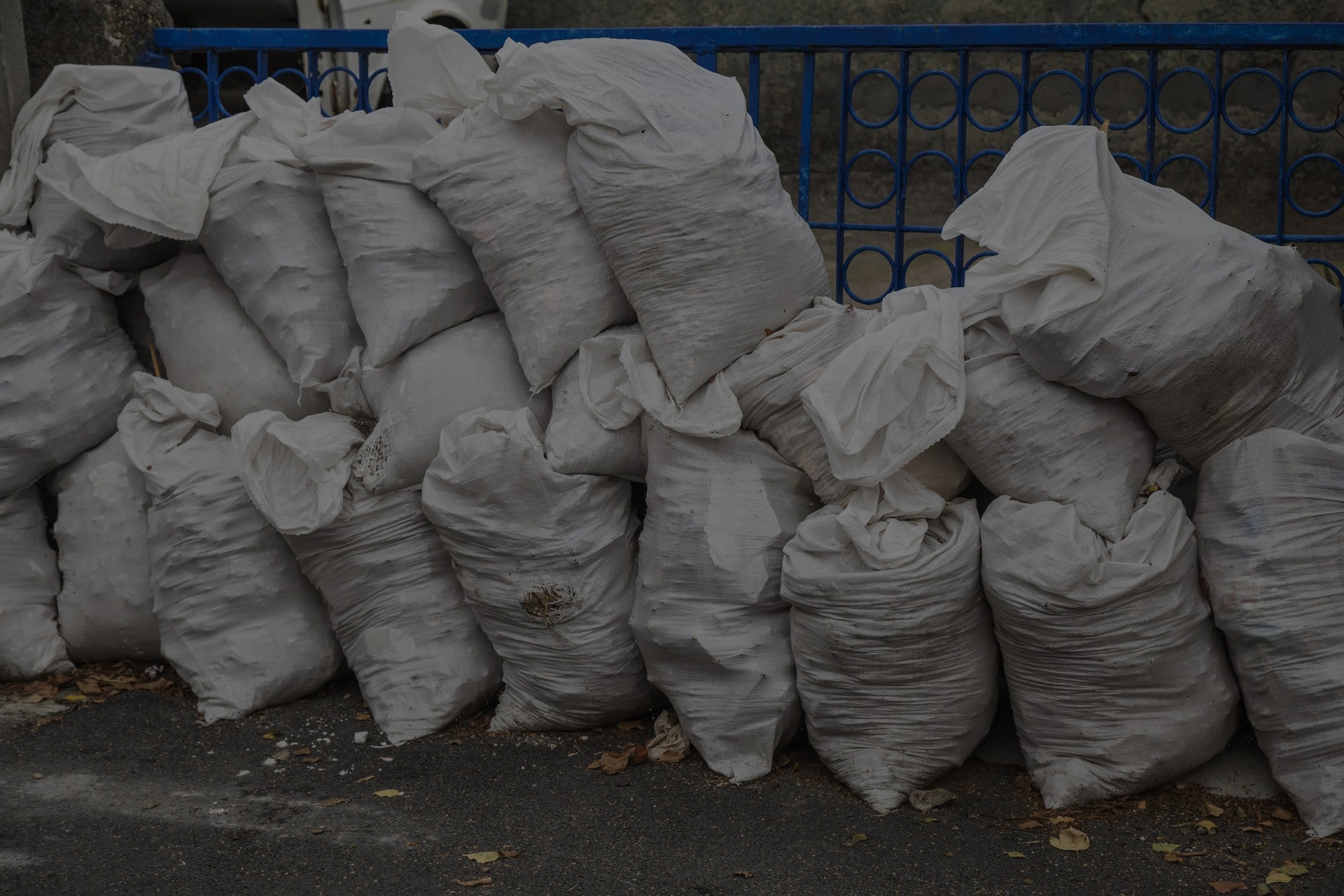 Your Ultimate Solution for Waste Disposal Containers in Miami