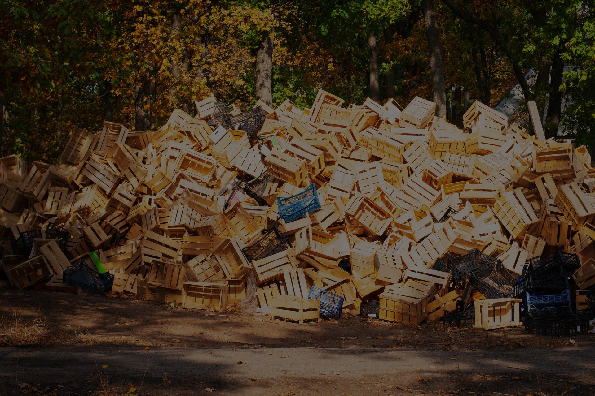 best Junk removal