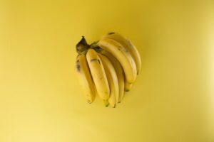 food waste removal services waste management