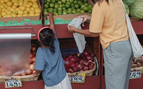 food waste removal services waste management