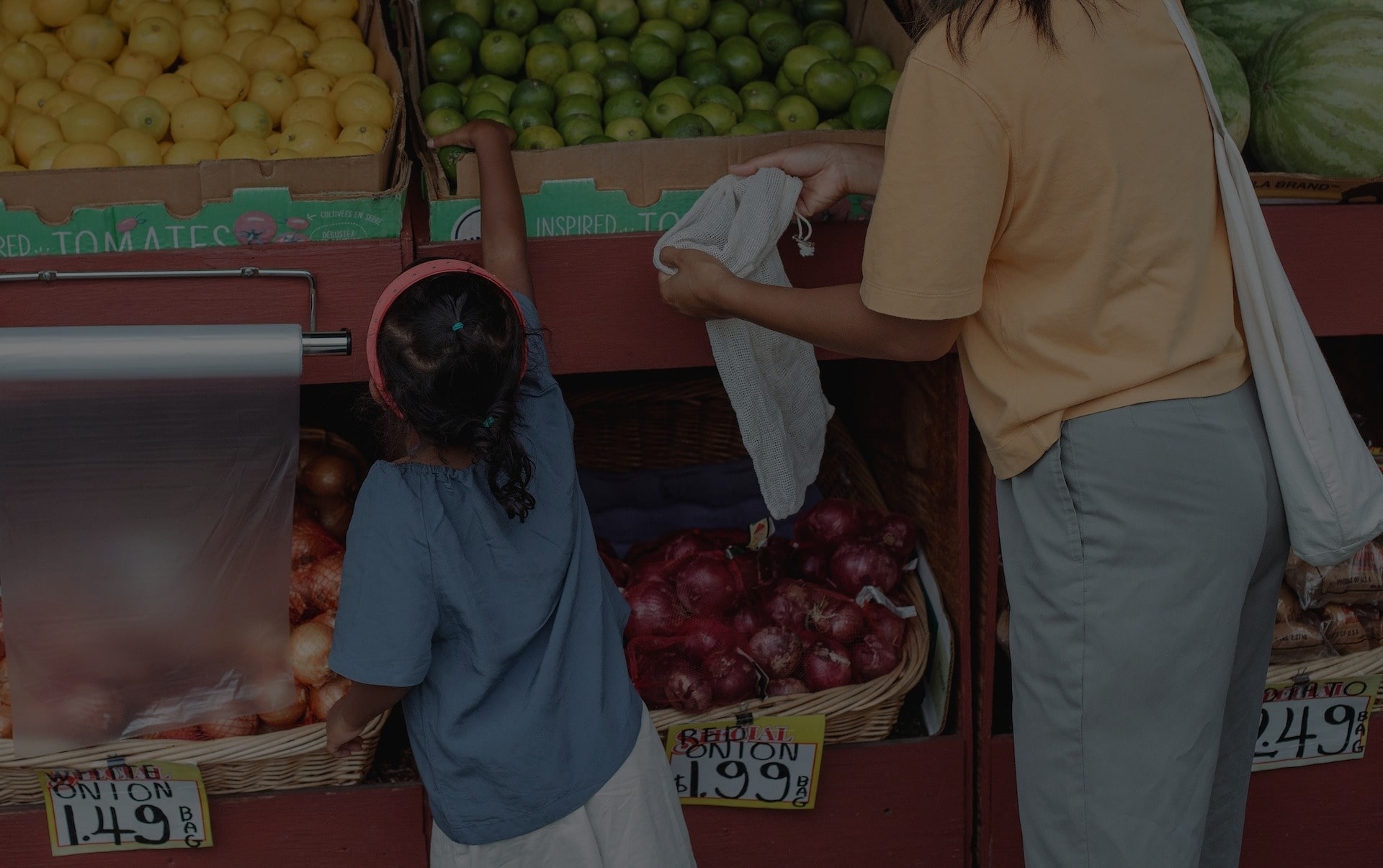 waste management for commercial food waste florida