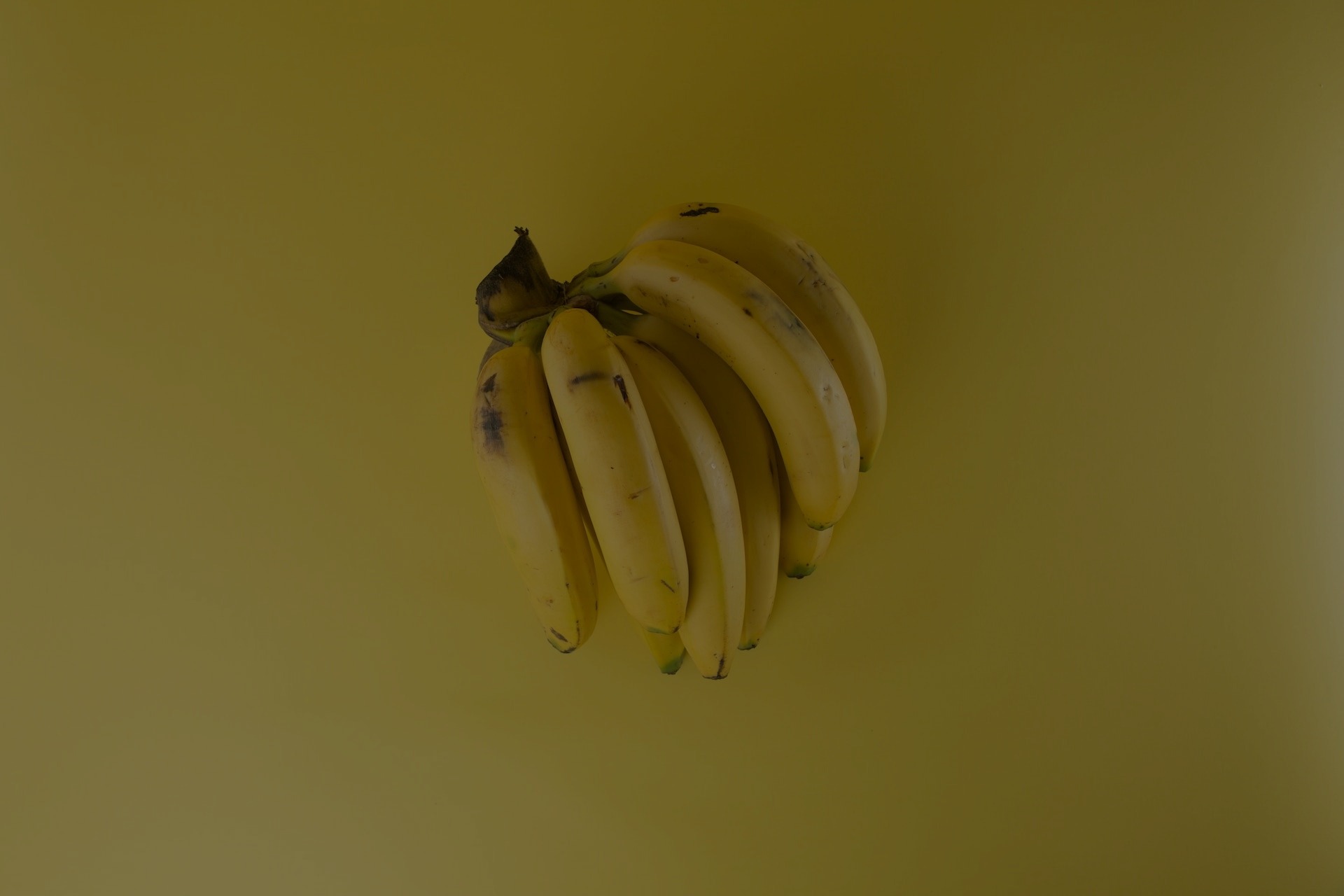 waste management for commercial food waste florida