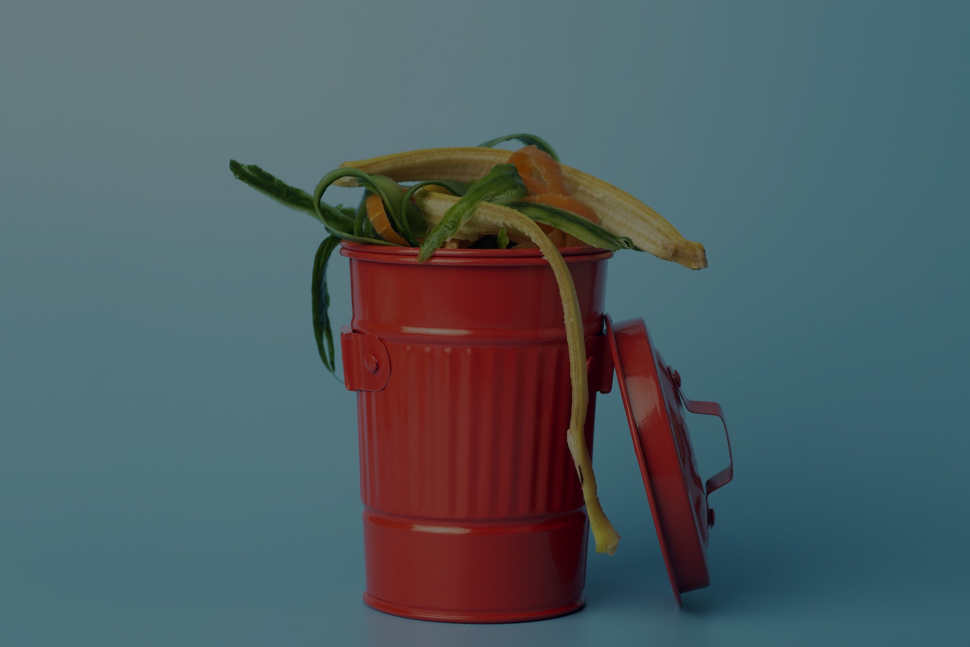 waste management for commercial food waste florida