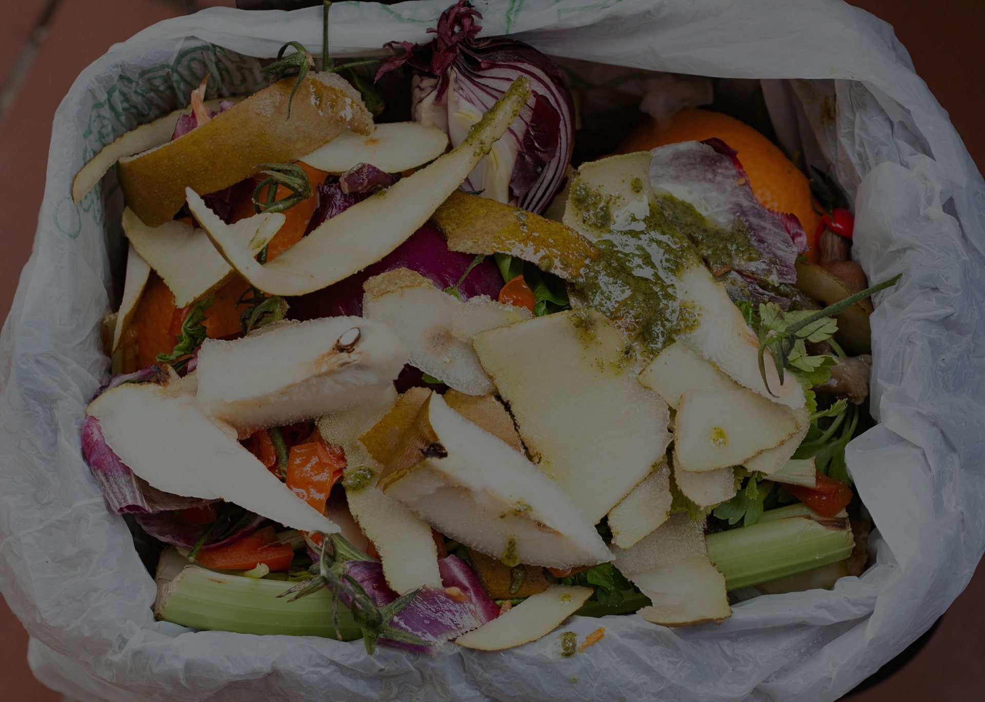 waste management for commercial food waste florida