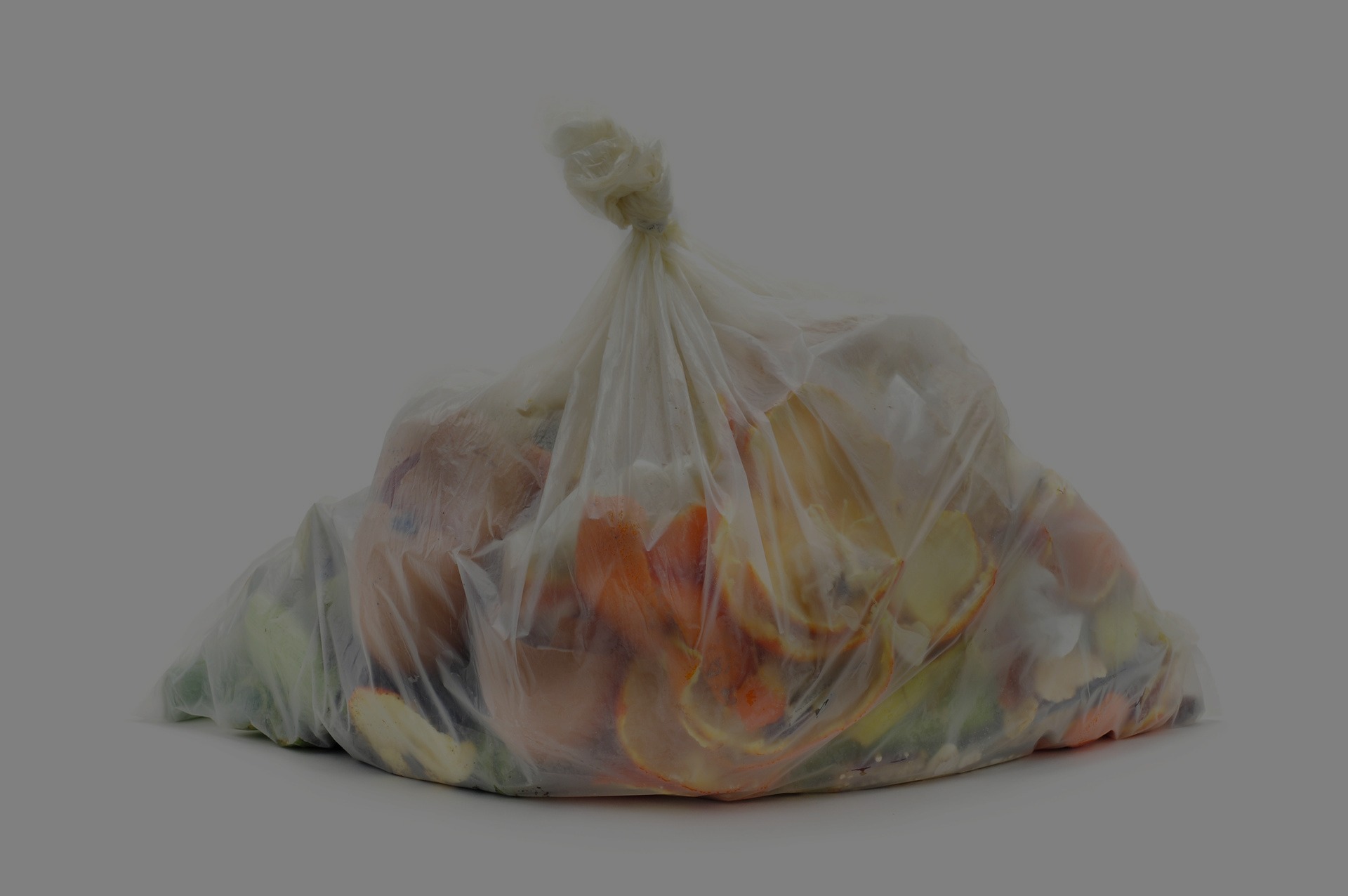 waste management for commercial food waste florida
