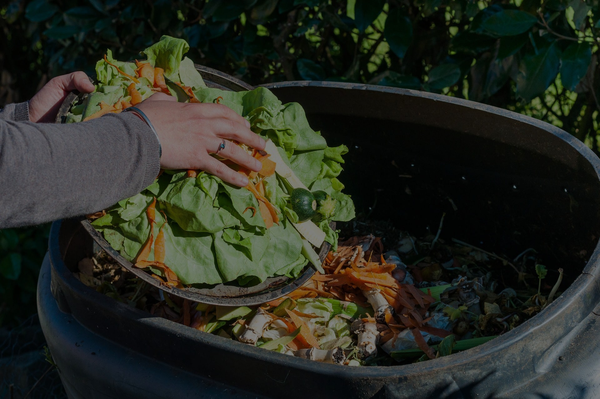 waste management for commercial food waste florida