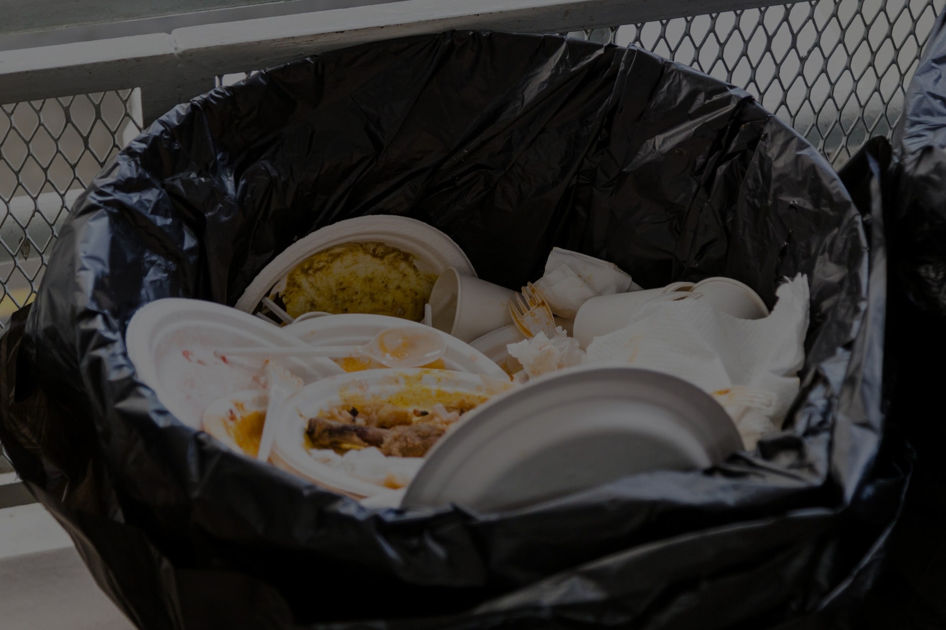 waste management for commercial food waste florida