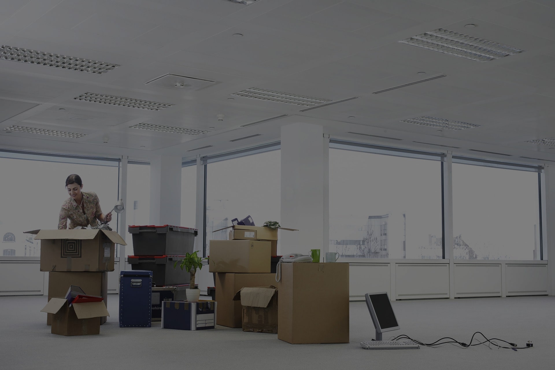 Large Office Cleaning Service