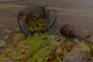 Renting Dumpsters for Yard Waste Service