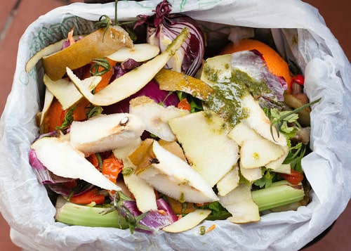 food waste removal services waste management