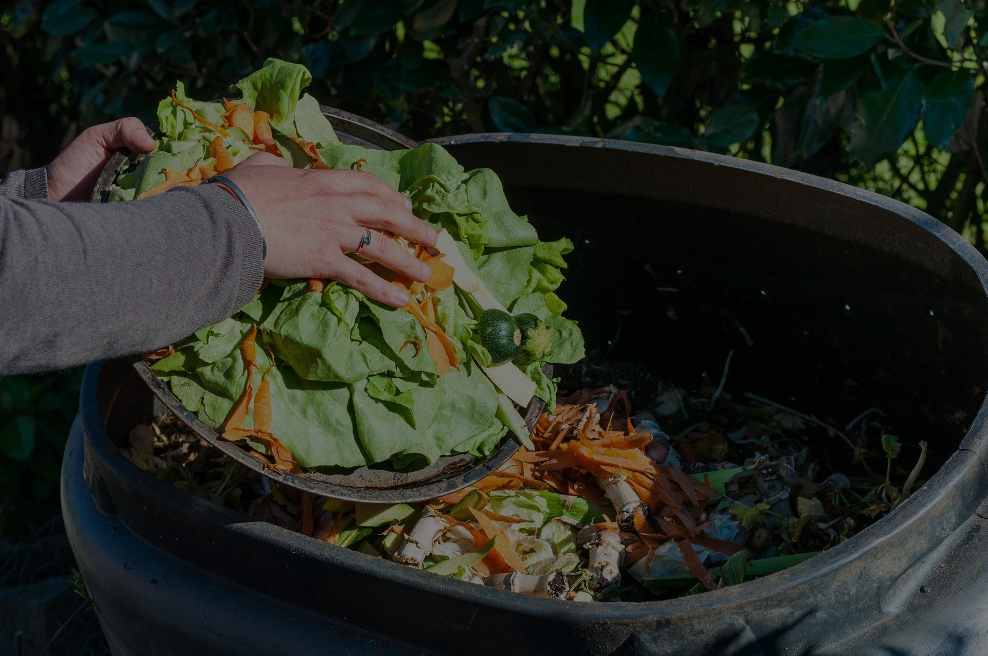 How Florida’s Government is Addressing Commercial Food Waste